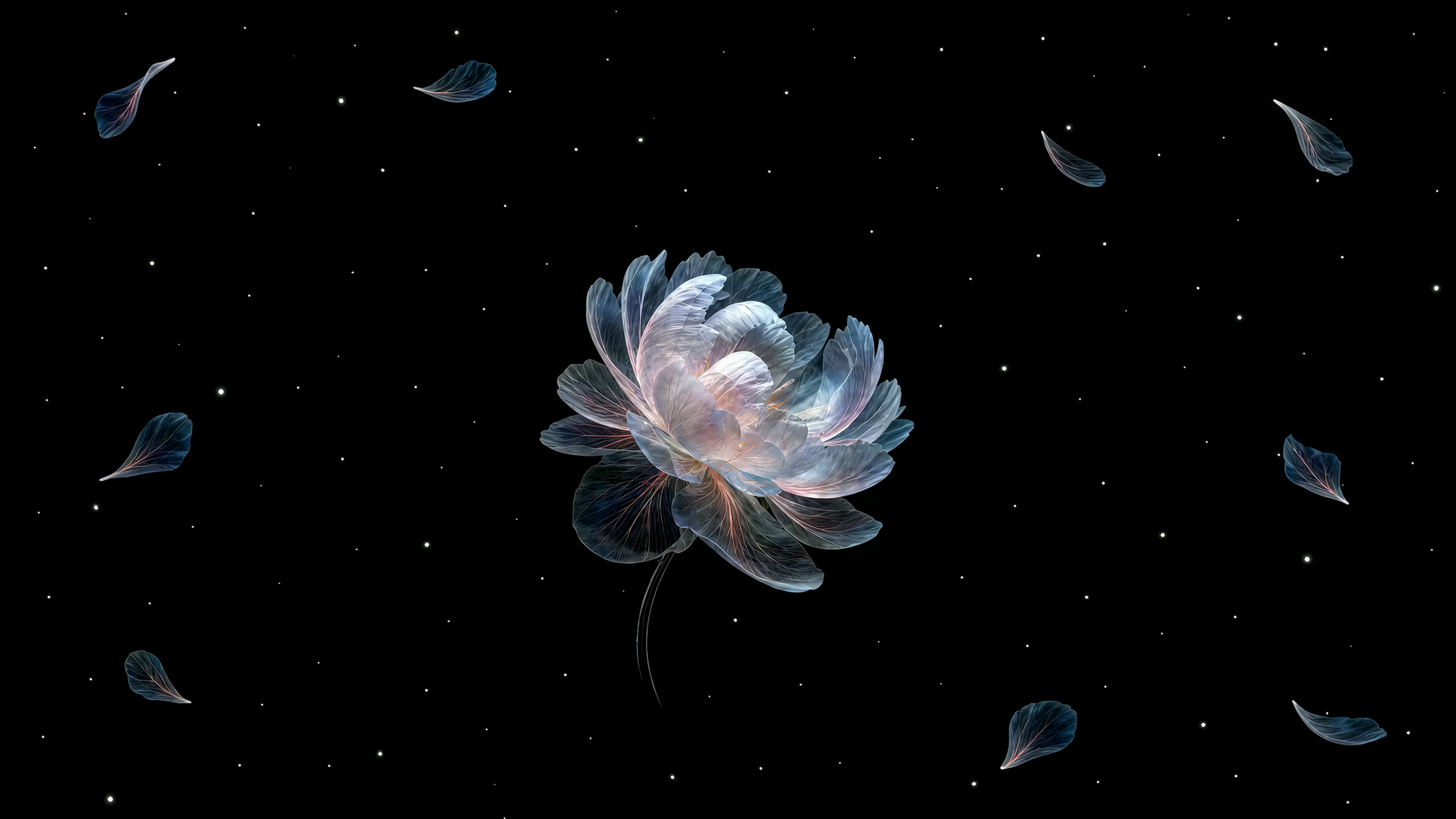 A luminous flower opening against a black star field, the Bloom